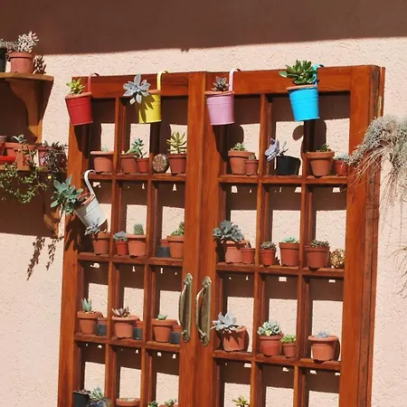 Lägenhetshotell Confortable Estudio Con Terraza, Piscina Y Bbq Icod De Los Vinos